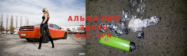крисы Верея
