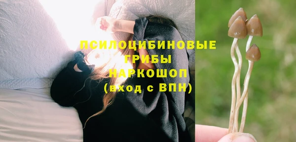 синтетический гашиш Верхний Тагил