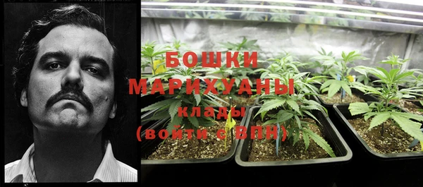 крисы Верея