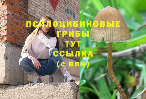 крисы Верея