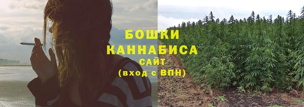 крисы Верея