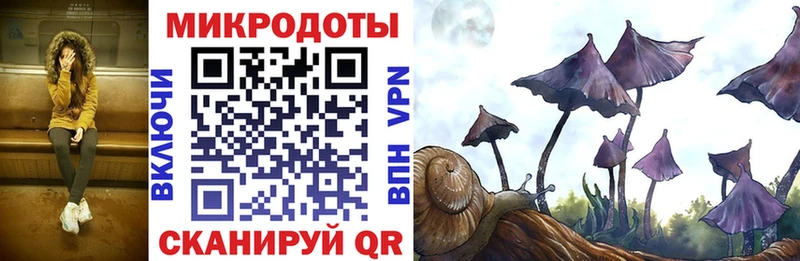 Галлюциногенные грибы мухоморы  Ноябрьск 