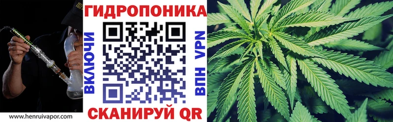 Бошки марихуана Amnesia где купить наркотик hydra дарк нет телеграм Ноябрьск